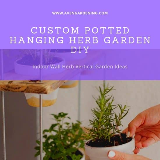 Custom Potted Hanging Herb Garden DIY