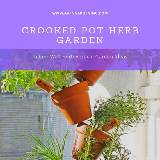 Crooked Pot Herb Garden