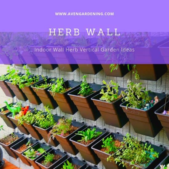 Herb wall