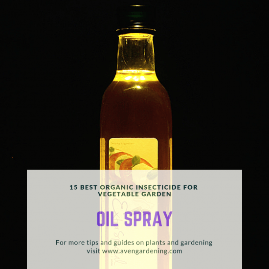 oil spray