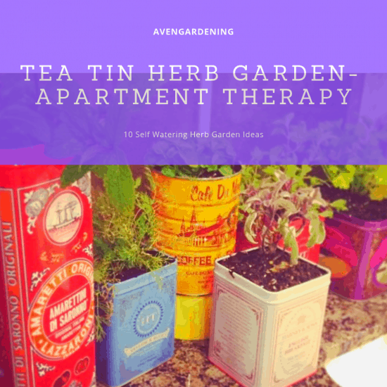 Tea Tin Herb Garden- Apartment Therapy