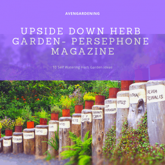 Upside Down Herb Garden- Persephone Magazine