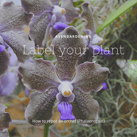 Label your plant 