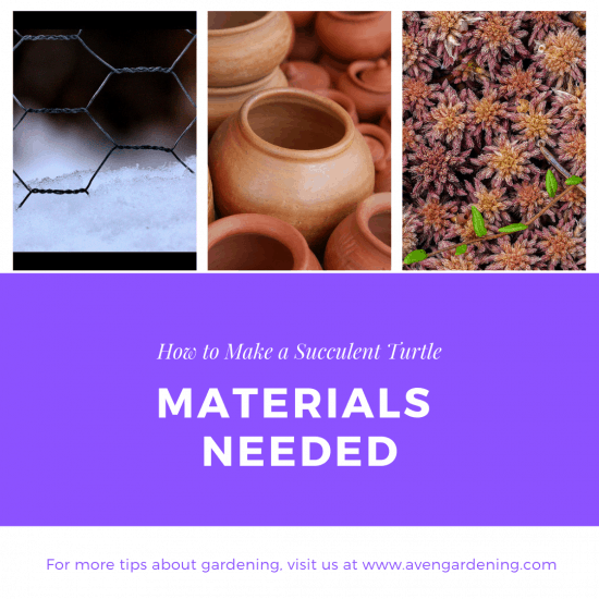 Materials needed
