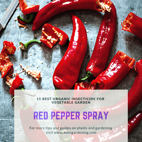 red pepper spray