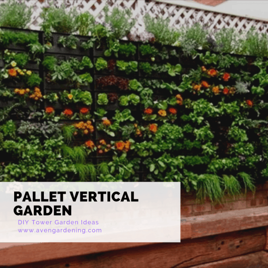 Pallet Vertical Garden