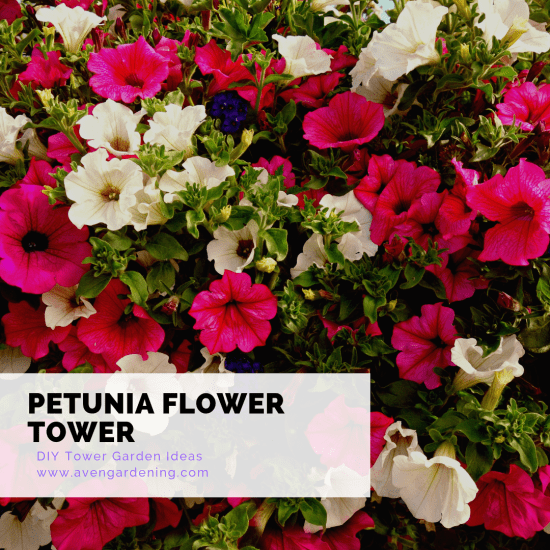 Petunia Flower Tower