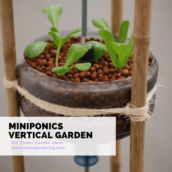 Miniponics Vertical Garden