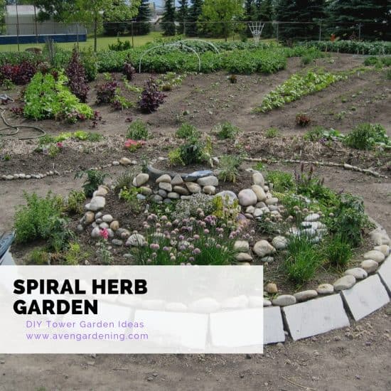 Spiral Herb Garden