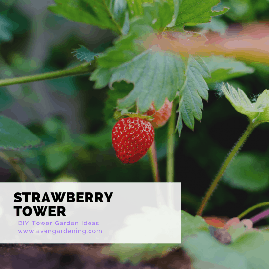 Strawberry tower