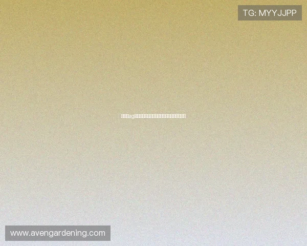 如何在ag百家乐游戏中提升赢率的关键技巧与实用建议