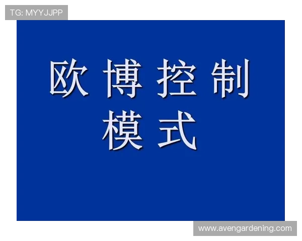 欧博国际有限公司官网：详细介绍平台服务项目与用户指南