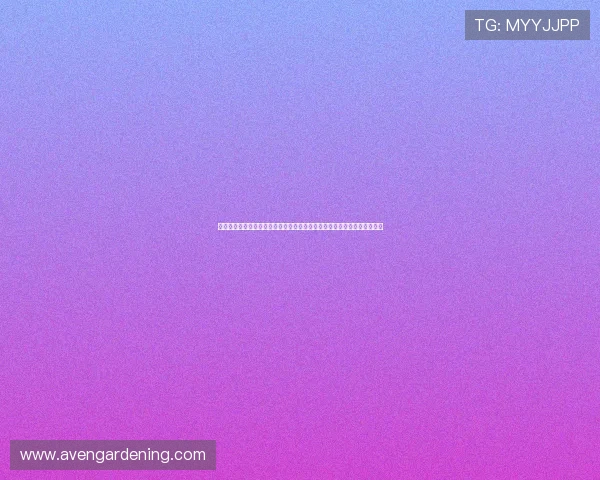 爱赢娱乐国际娱乐提供专业的客服支持,确保每一位玩家都能享受贴心服务