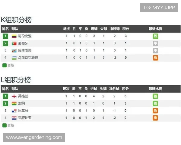 世界杯哥伦比亚对阵民主刚果比赛比分预测与赛前分析全面解析