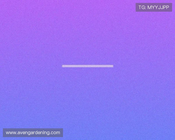 尊龙凯时真人版：揭秘世界杯期间真人版娱乐互动内容提升观赛体验的创新方式