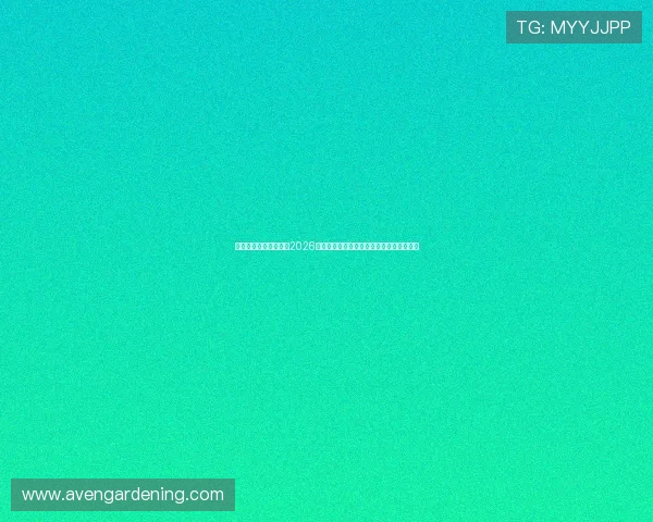 匠星娱乐官网为您呈现2026世界杯赛前热身赛精彩表现与球队状态分析
