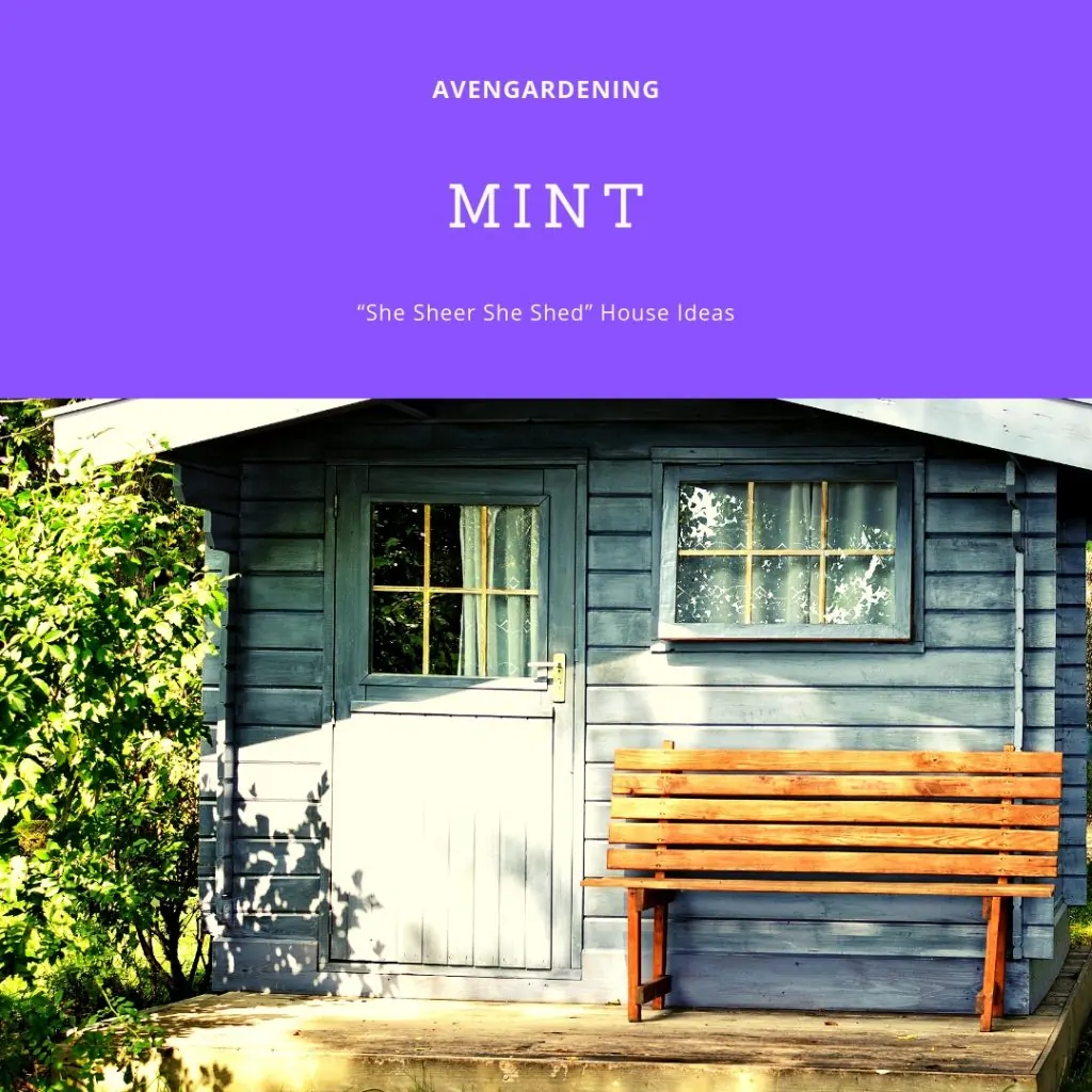 Mint