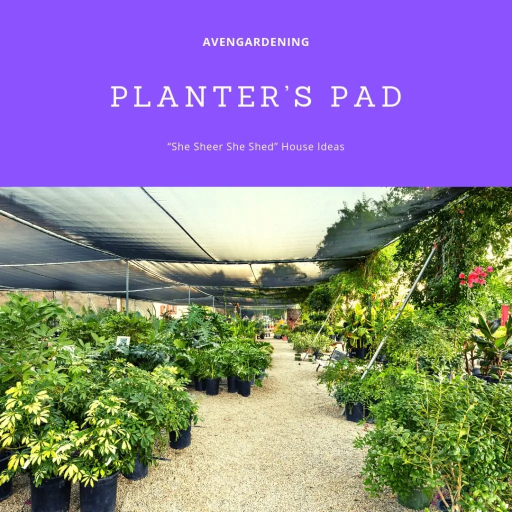 Plant's Pad