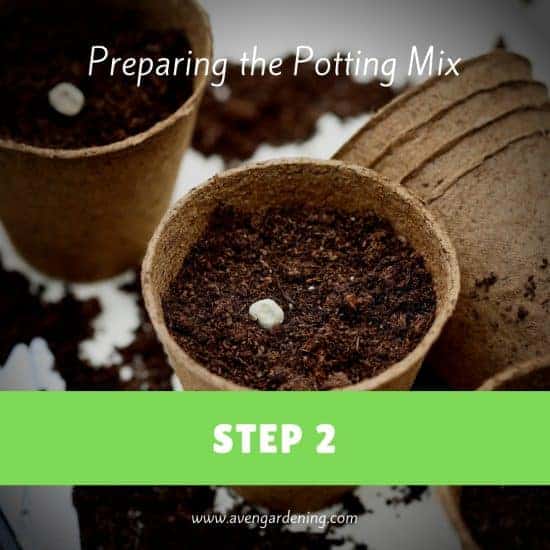 Preparing the Potting Mix