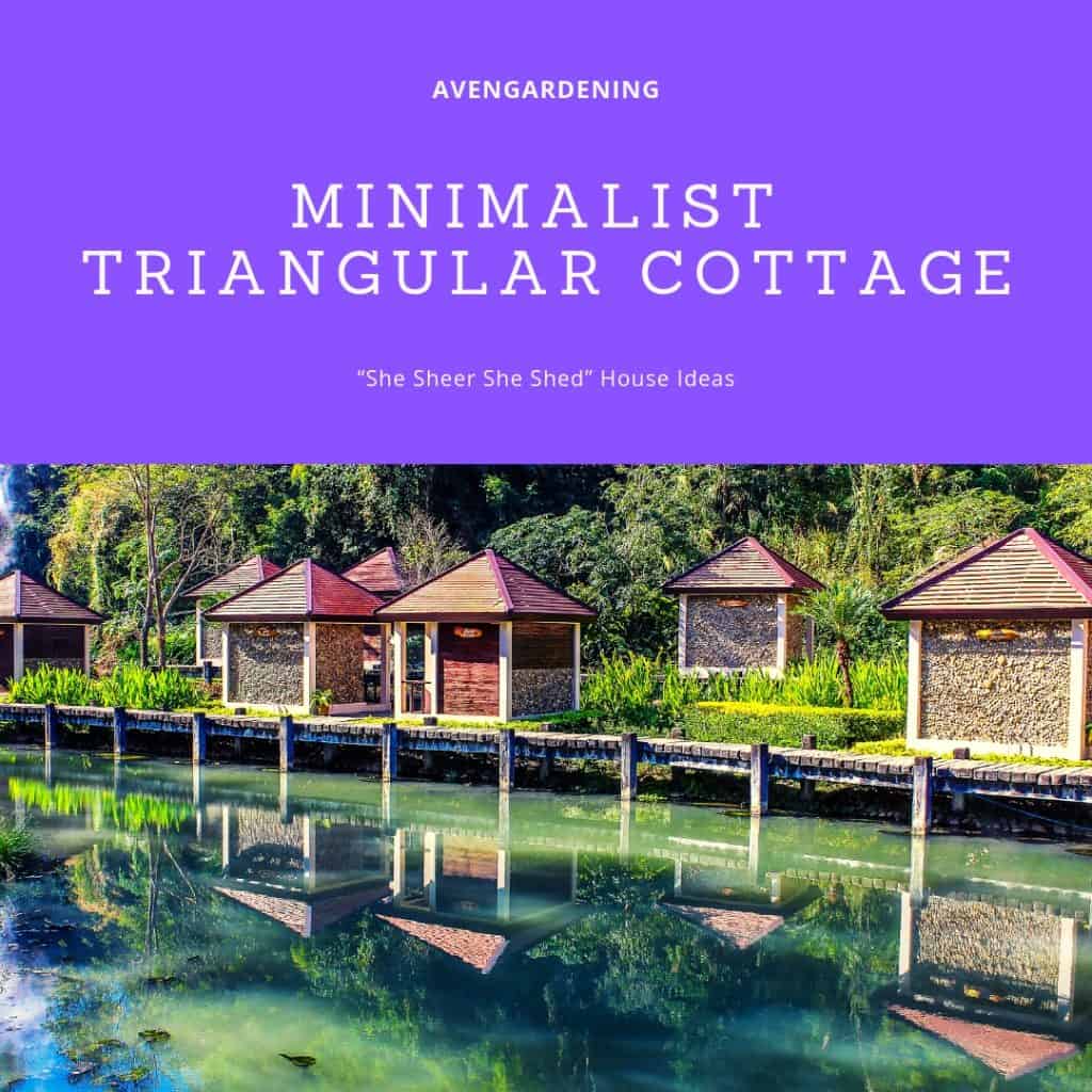 Minimalist Triangular Cottage