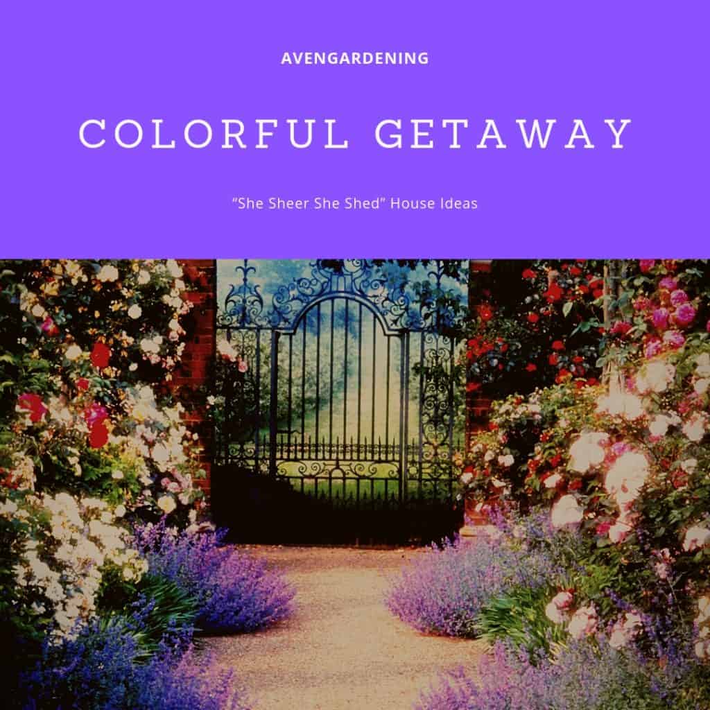 Color Getaway