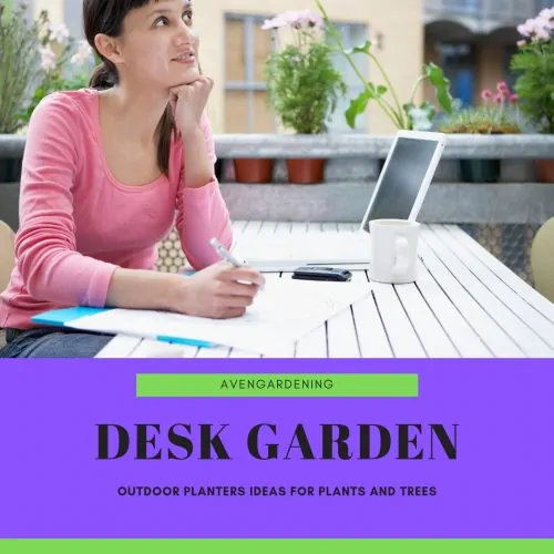 Desk garden