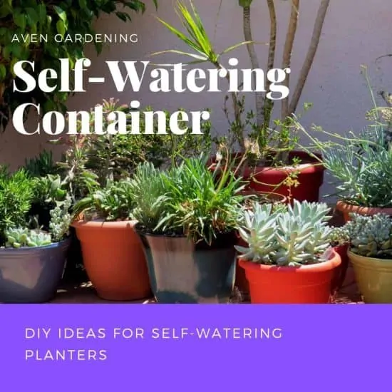 Self Watering Container