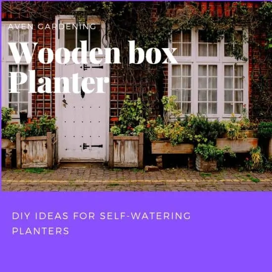 Wooden box planter 