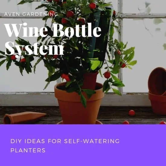 The Wine bottle system