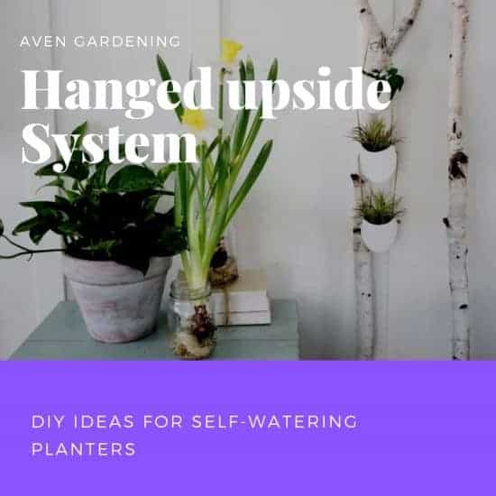 Hanged upside planter system 