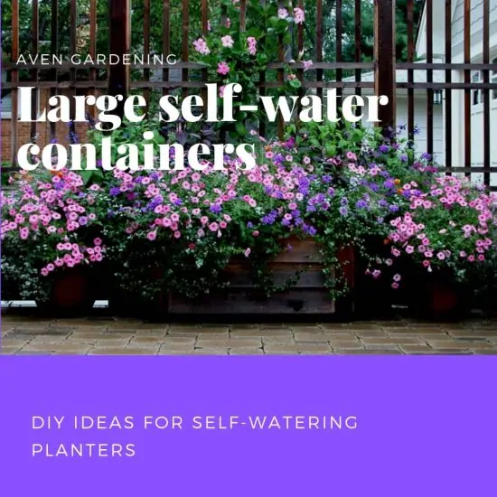 Simple large self-water containers 
