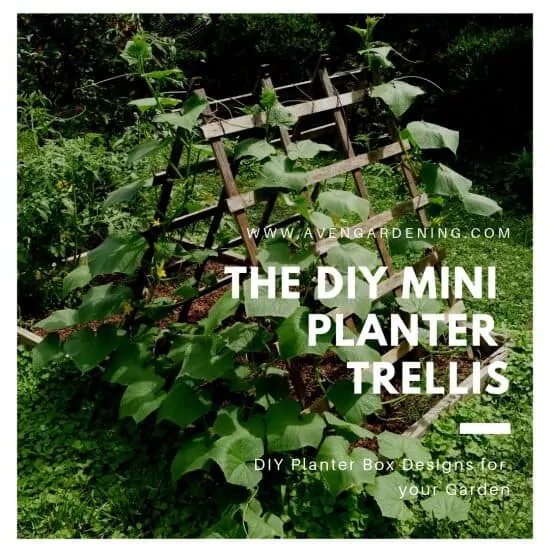 The DIY Mini Planter Trellis