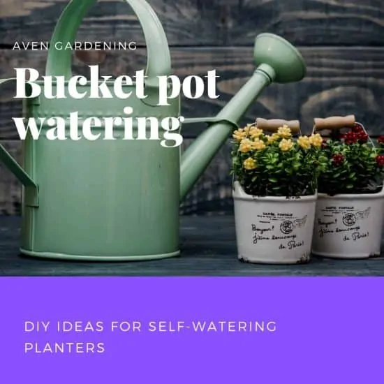 A two bucket pot watering system