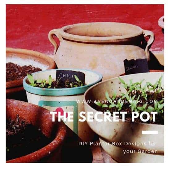 The Secret Pot