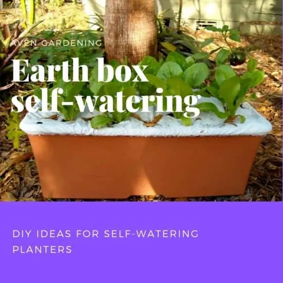 The Earth box