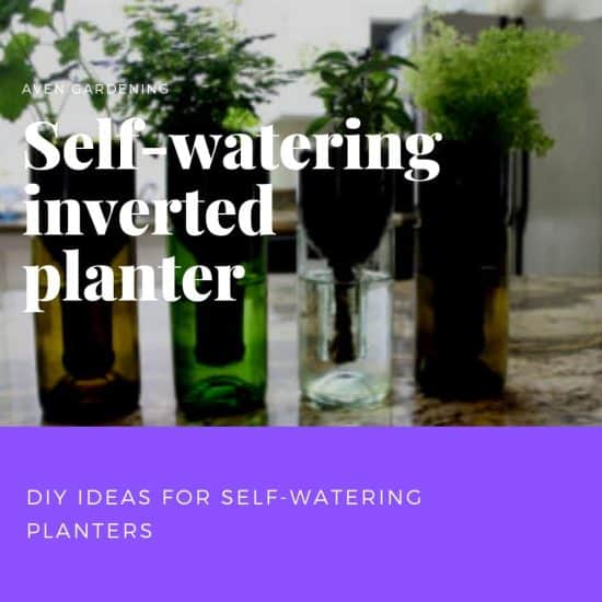 Self-watering inverted planters