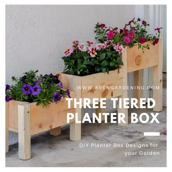 The Three Tiered planter box for smaller flowers 