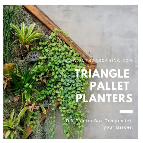 Triangle pallet planters 