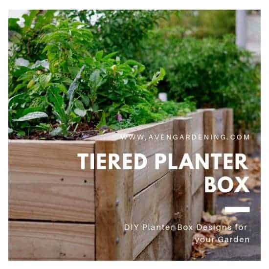 The tiered planter boxes 