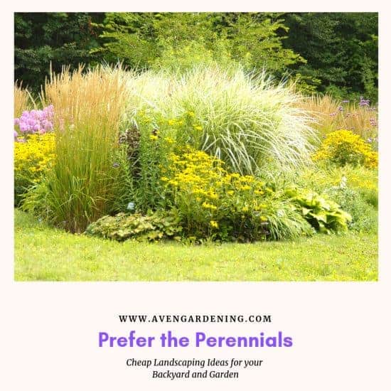 Prefer the Perennials