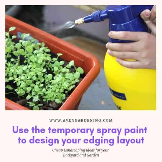 Use the temporary spray paint to design your edging layout 