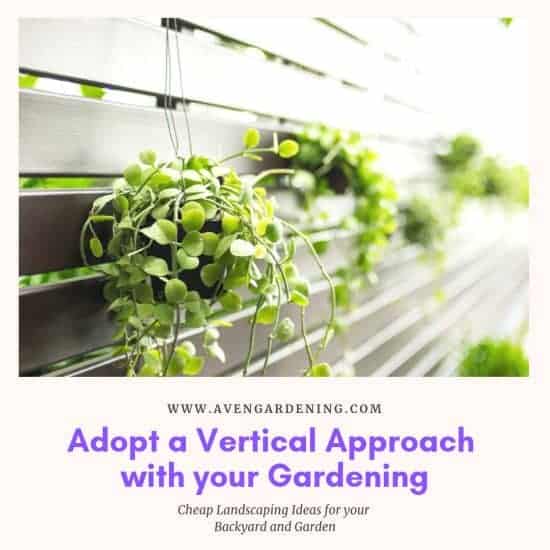 Adopt a Vertical Approach with your Gardening 