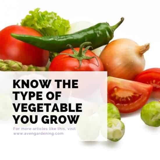  Know the type of vegetable you are growing