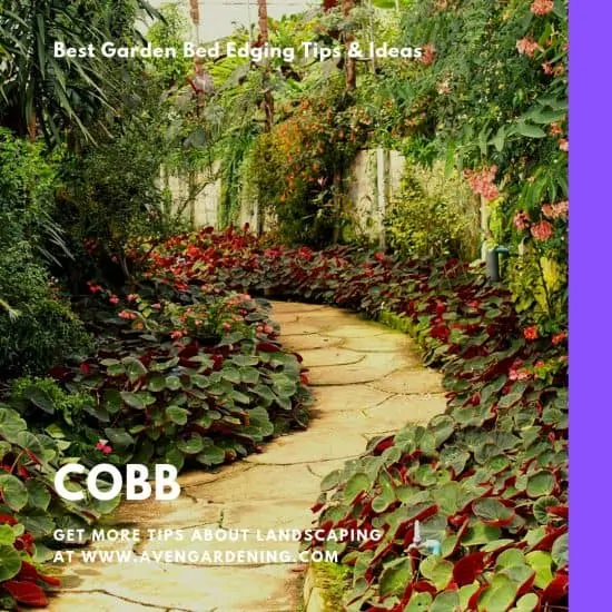 Cobb