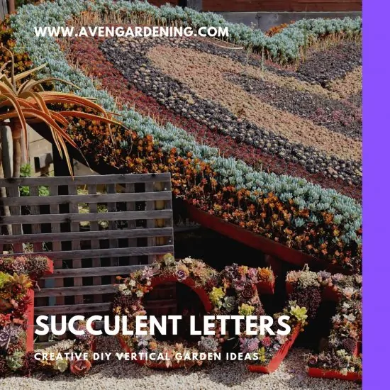 Succulent Letters