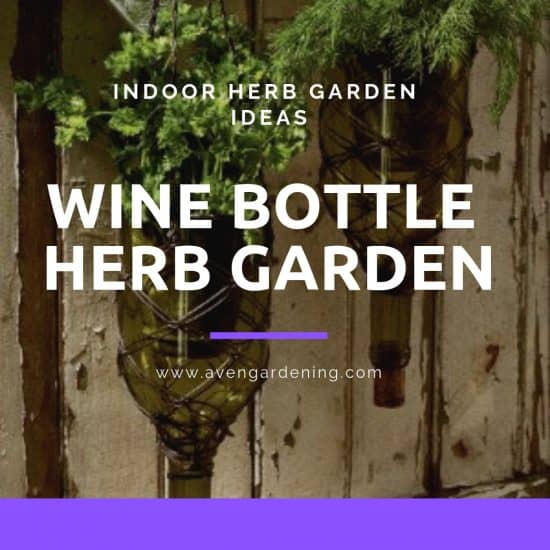 Wine bottle Herb garden