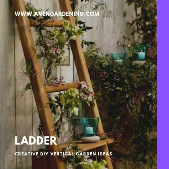 Ladder garden