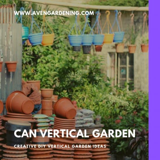 Can Vertical GArden