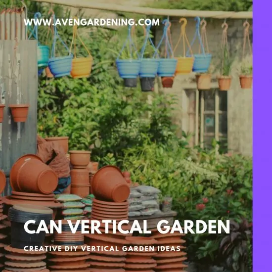 Can Vertical GArden