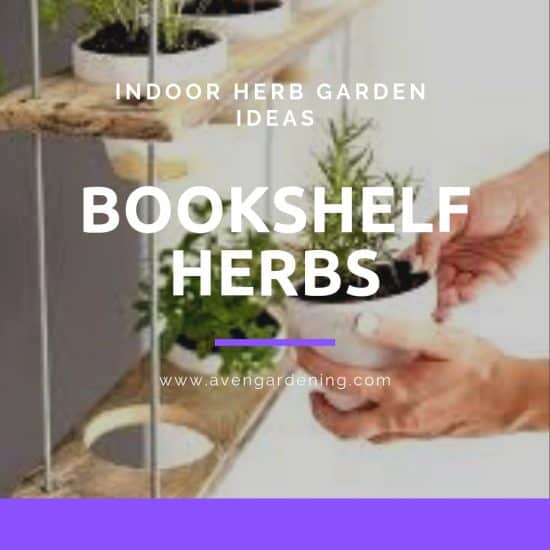 Bookshelf herbs